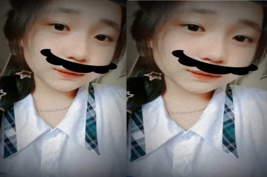 Cánh đồng chăn nuôi của cặp đôi học sinh